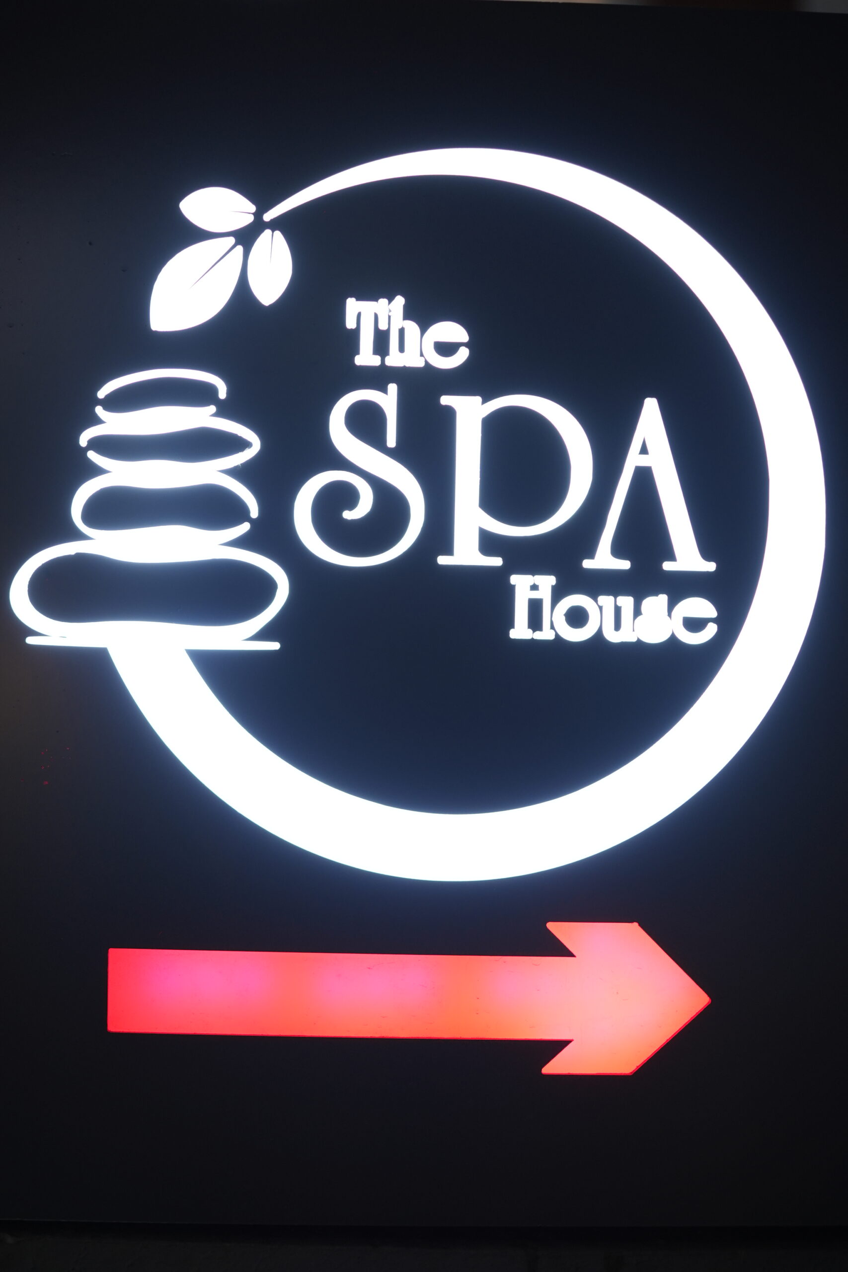 DSC03731 (1)